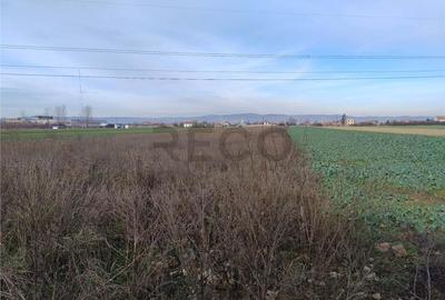 Teren de 5500 mp, în Oșorhei