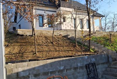 Casă cu 7 camere cu Teren 1500 Mp în Țigănași - 10