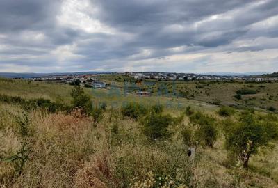 Oferta speciala! Teren intravilan, 9 400 mp, oportunitate de investitie! - 4