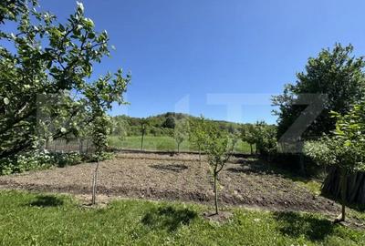 Casă cu 4 camere cu Teren 13000 Mp în Primăverii - 1