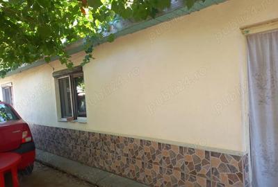 Casă cu 2 camere cu Teren 3000 Mp în Râmnicelu - 6