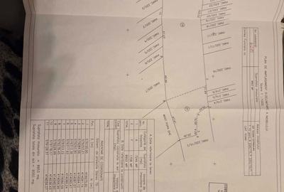 Spațiu comercial, în Teișani - 13