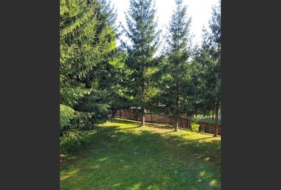 Proprietate Unică în Inima Naturii - Galaoaia, Mureș - 4