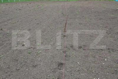 Teren de 3000 mp, în Călărași - 4