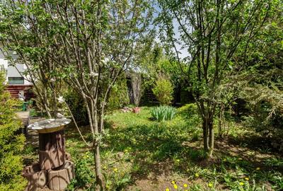 Vila spatioasa si eleganta, aproape de padure – Tunari, Ilfov - 13