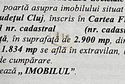 Teren de vânzare în comuna Baciu, aproape de Cluj-Napoca - 3