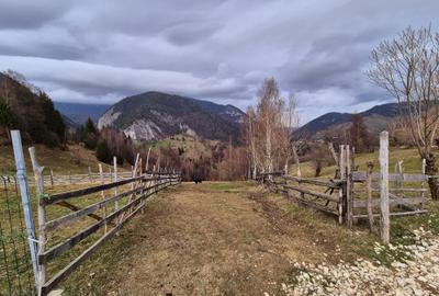 Teren investitie Pestera/ 13570mp extravilan/Comision 0 % - 9