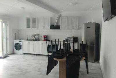 Casa cu doua apartamente si curte zona Turnisor - 11