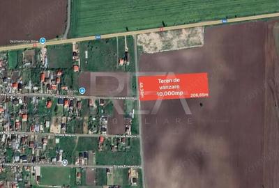 Teren 10.000 mp iesire Branesti constructie hala - 1