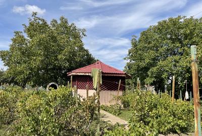 Malu, sat Butoiu Ialomita - 14