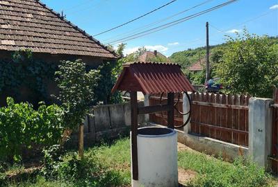 Casă cu 2 camere în Românași - 7