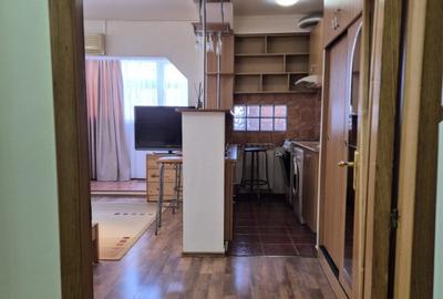 Vand Garsoniera Piata Delfinulu, 38mp, bloc recent reabilitat - 8