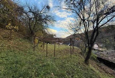 Casa 3 camere + teren 912mp zona Caraiman - 17