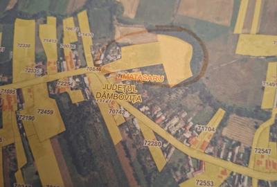 Casă cu 5 camere cu Teren 15000 Mp în Central - 4