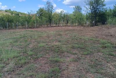 Terenuri cu suprafete intre 500 si 1500 mp in Baicoi, zona Liliesti. - 16