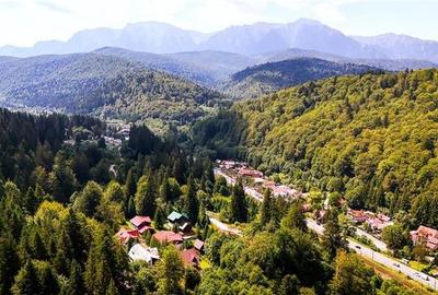 FILM! Refugiu de vacanta, cu foisor, gradina si muntii in zare, Predeal - 1