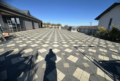 Casă cu 4 camere în Vișan - 7