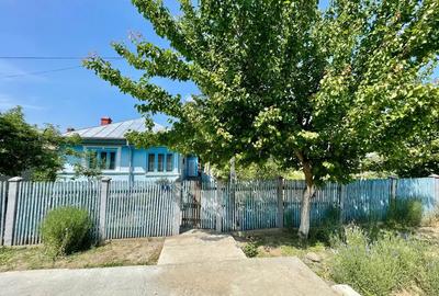 Casa de vanzare cu acces la Bra?ul Borcea, Bordu?ani - 1