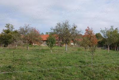 Casă cu 1 camere în Crocna - 3