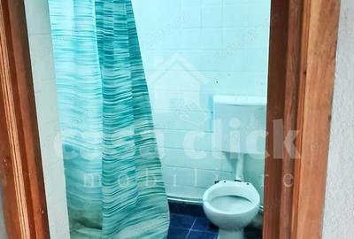 Apartament 1 camera spatios, mobilat si utilat, Piata Centrala - 5