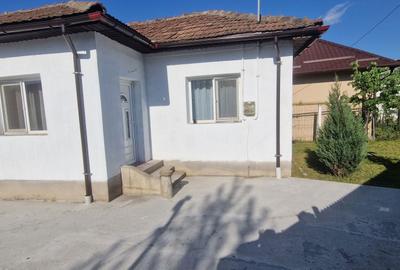 Casă cu 2 camere în Brestei - 2