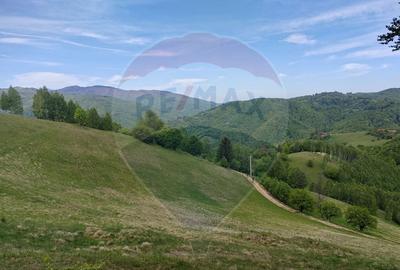 Teren 20,131 mp/Extravilan/Poiana Marului - 7