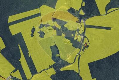 Teren de 1000 mp, în Poiana Brașov - 3