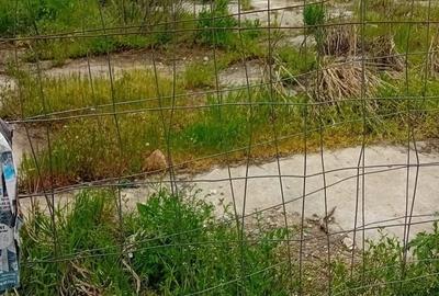 Teren Construcții de 834 mp, în Tânganu - 2