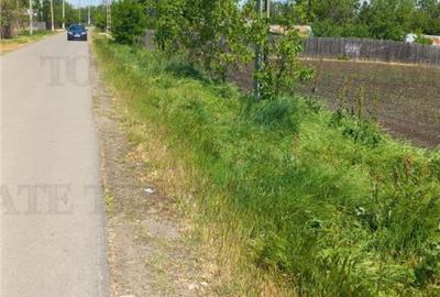 Teren Stanesti - Giurgiu, intravilan, drum asfaltat, gaz, cu