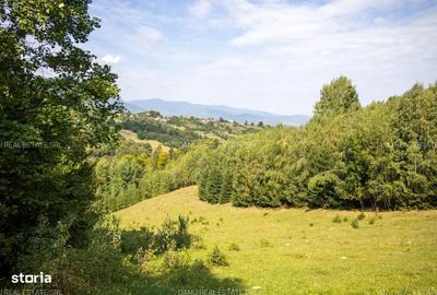 Spațiu comercial, în Sohodol - 5