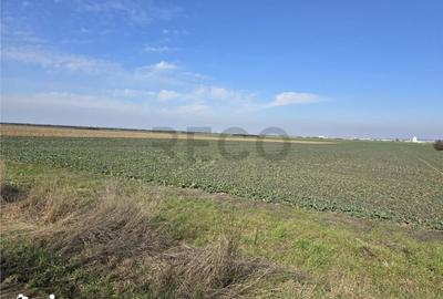 Teren de 22418 mp, în Calea Aradului - 3
