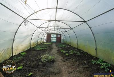 FILM! Casa cu sura, pivnita, balta cu pesti, 2.280 mp teren roditor, Lemnia, Covasna - 1