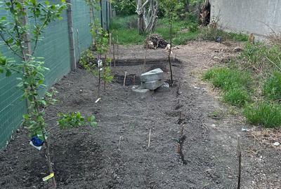 Casă cu 3 camere în Palazu Mare - 2