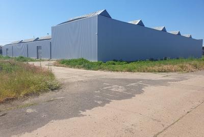 Teren industrial 130000 mp cu hale mari finisate/nefinisate beton armat - 2