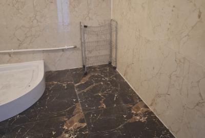 2Camere Patelimon Morarilor Parcul Florilor - 2