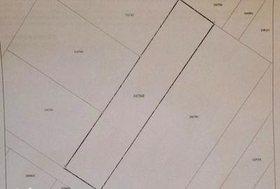 Spațiu comercial, în Viile Noi