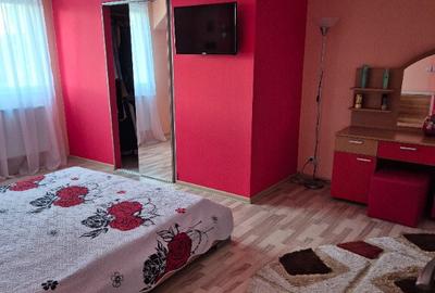 Casa in Sfantu Ilie utilata si mobilata - 16