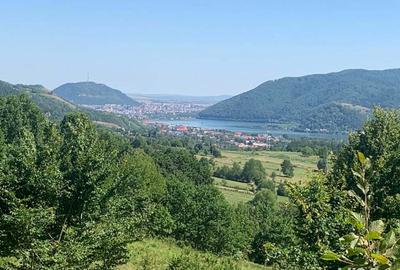 Teren de 10000 mp, în Alexandru cel Bun - 6