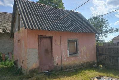 Casă cu 2 camere în Turnu - 9