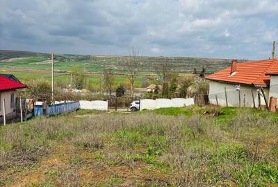 Spațiu comercial, în Valea Lungului - 3