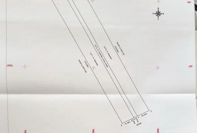 Teren de 10000 mp, în Ulmi - 3