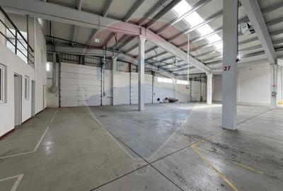 Hala renovata recent, modernizata, usi automate, pozitionare eficienta - 5