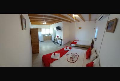 Pensiune 3 stele - Schitu-Costinesti - 215.000 euro (Cod E2) - 10