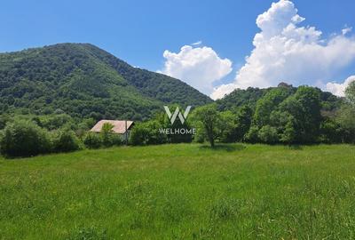 Casa Sibiu, Cisnadioara - teren 770 mp Casa Sibiu, Cisnadioara - teren 770 mp - 3