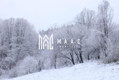 Teren Construcții intravilan de 20000 mp, în Dângești - 10