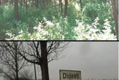 Teren Didesti, ID: R2058941 - 6