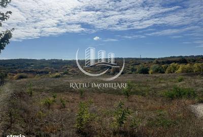 Teren de 3961 mp, în Paleu - 4