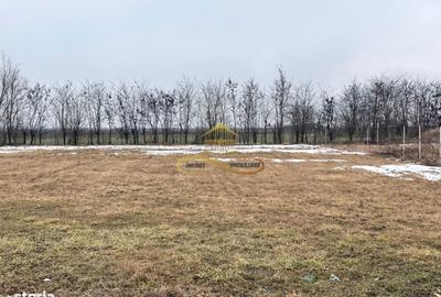 Teren de 900 mp, în Săucești - 2