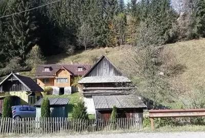 Casă cu Teren 2100 Mp în Răchițele - 2