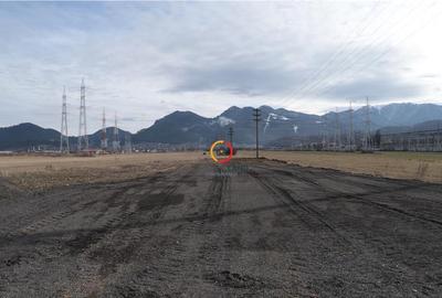Teren de 4800 mp, în Centură - 12
